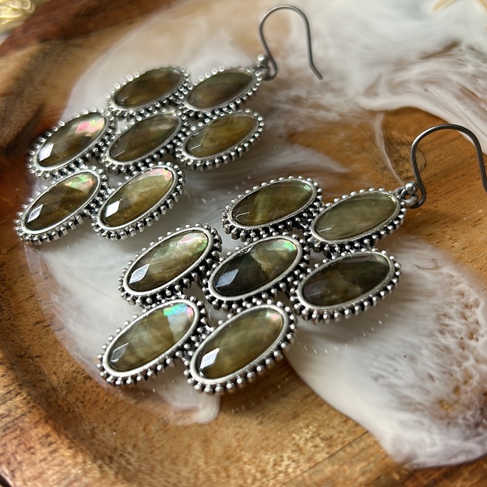 Abalone Shell Based Statement Earrings - image 3